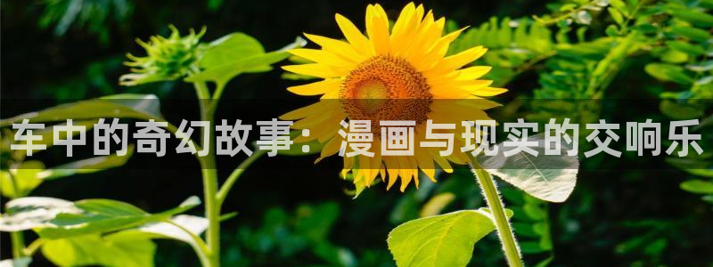 没有钱新新漫画