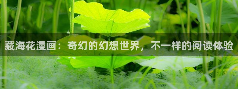 新新漫画网页版电脑