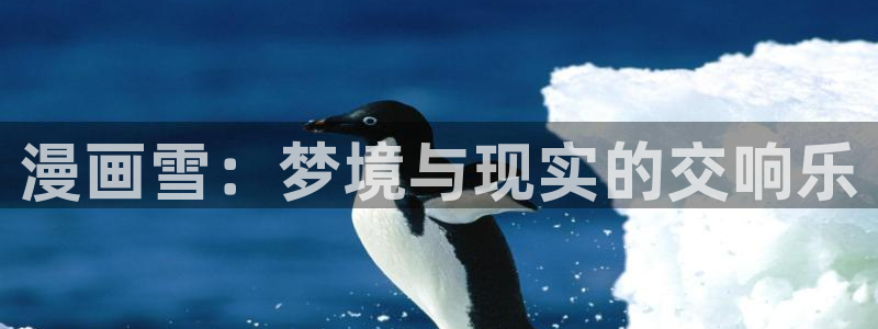 新新动漫
