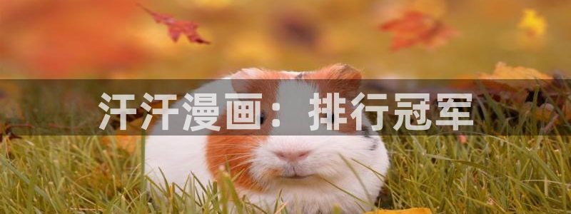 新新漫画下载