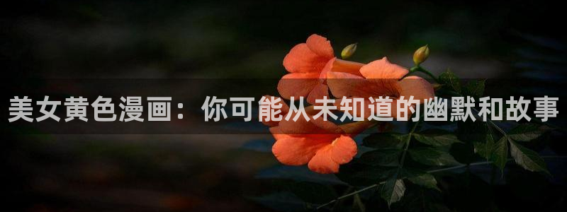 新新漫画改名叫什么了