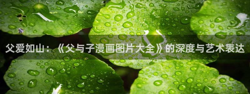 bl新新漫画网