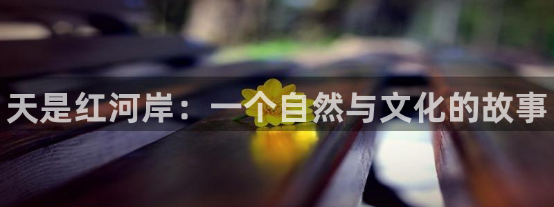 新新漫画无删减