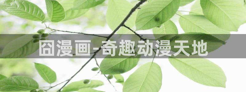 新新漫画app下载