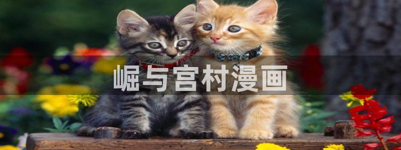 新新漫画软件