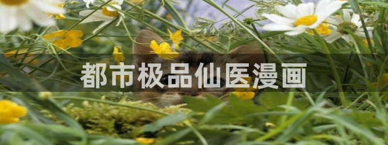 新新漫画最新版本下载