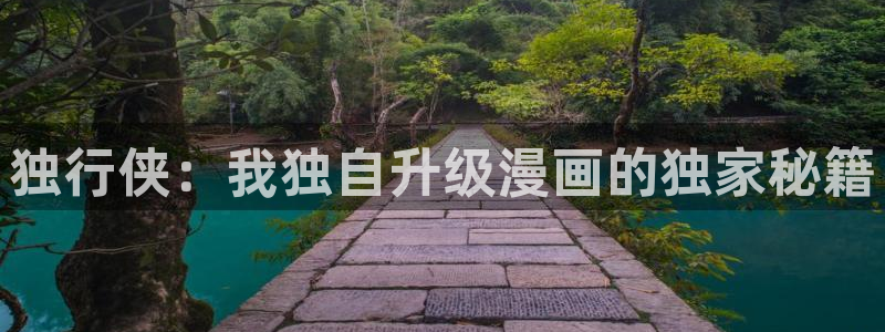新新漫画官网下载：独行侠：我独自升级漫画的独家秘籍
